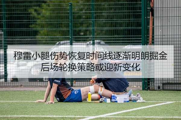 穆雷小腿伤势恢复时间线逐渐明朗掘金后场轮换策略或迎新变化
